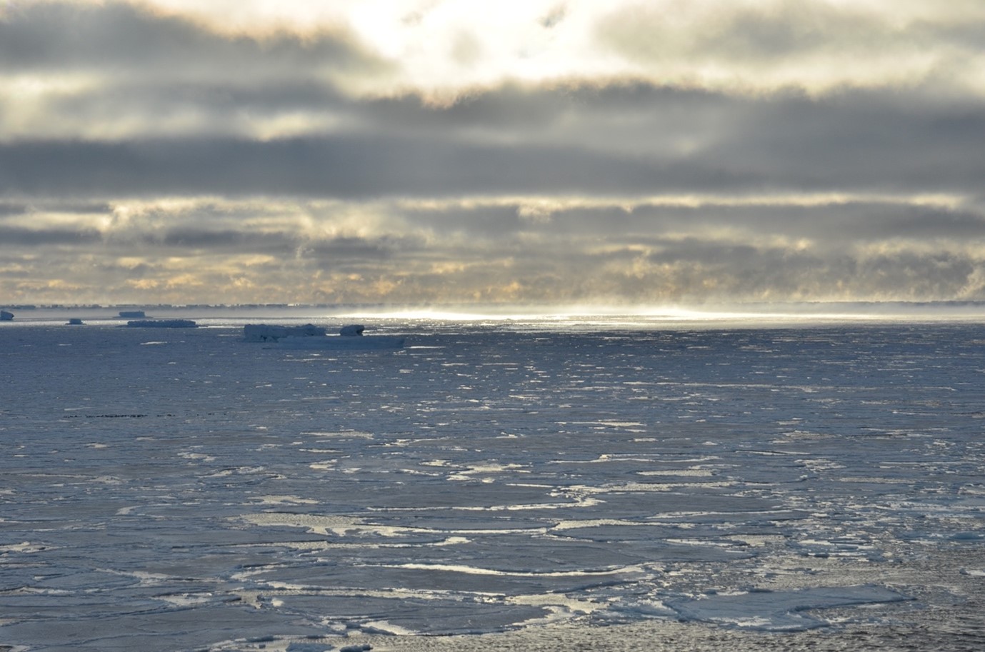 Image of Southern Ocean sea ice and air-sea exchange